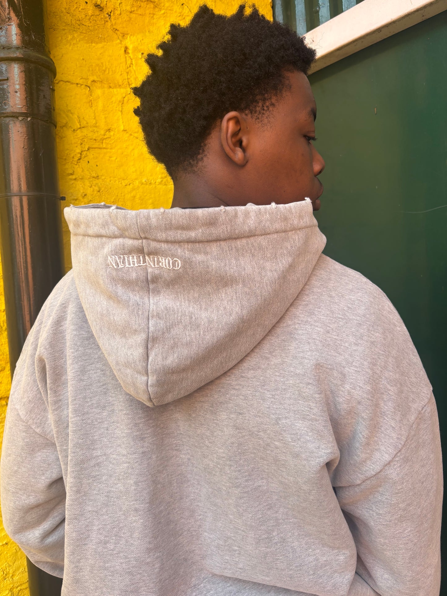 Distressed Hoodie-ASH