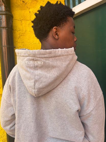Distressed Hoodie-ASH